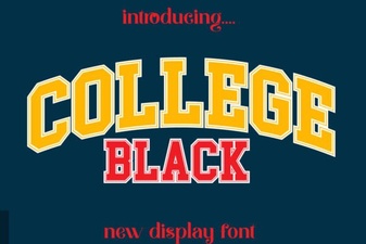 Contemporary College Designs Using Classic Black Fonts